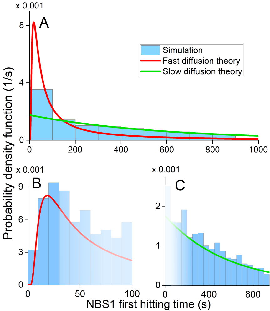 Simulation data.
