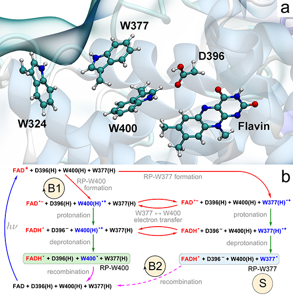 molecular_origins2.jpg