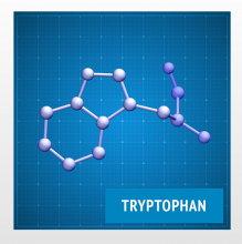 Modelling missing protein fragments image